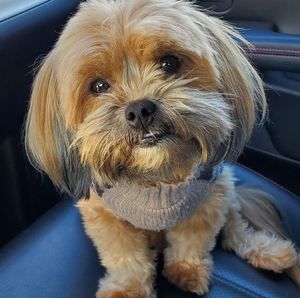 Meet your Posher, Paula